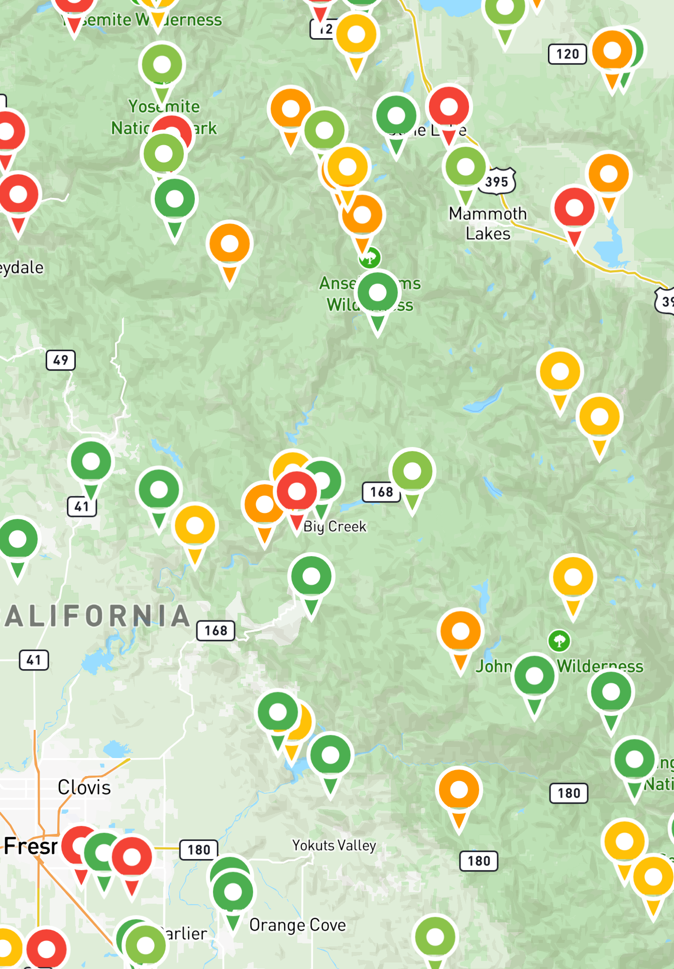 Live Network Feed